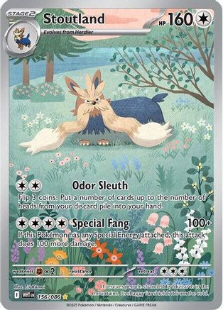 Stoutland (156/086) [SV White Flare] Holofoil - Illustration Rare